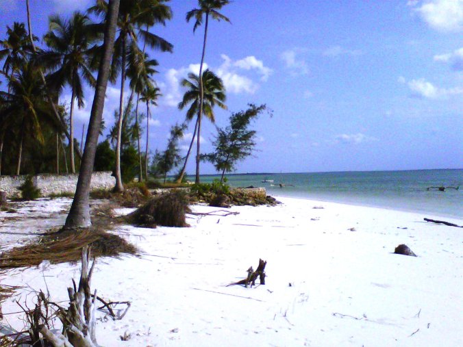 michamvi-robinson-crusoe-beach1.jpg